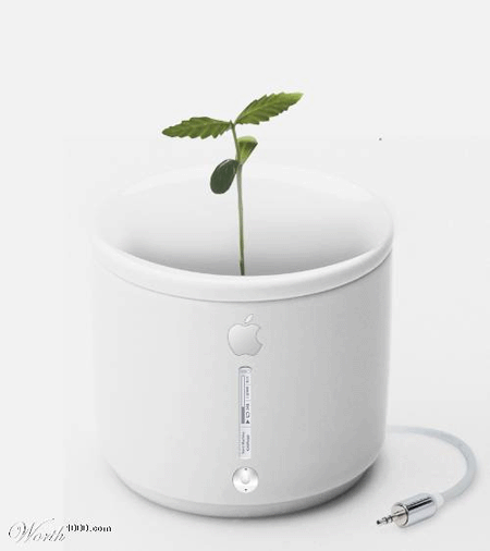 iPlant