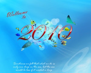 2010_eng_by_hemisferio
