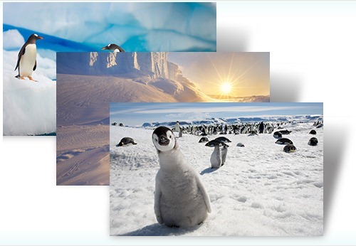 Antarctica