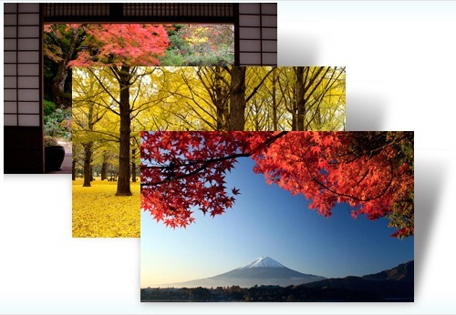 Autumn colors
