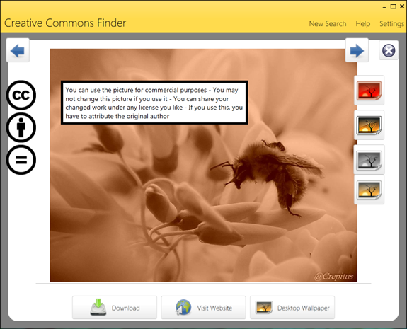 CCFinder