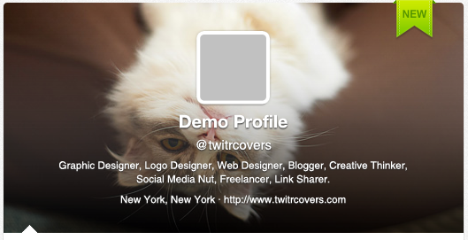 Demo profile