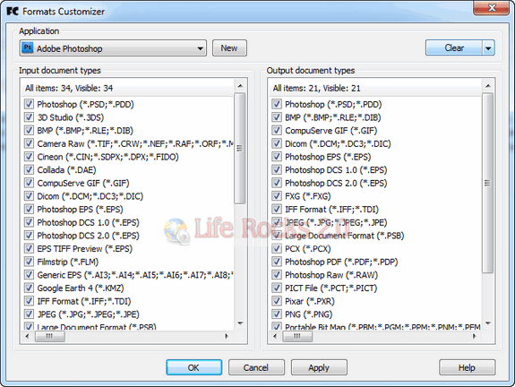 Format Customizer