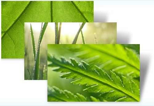 Green World theme
