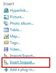 Insert snippet