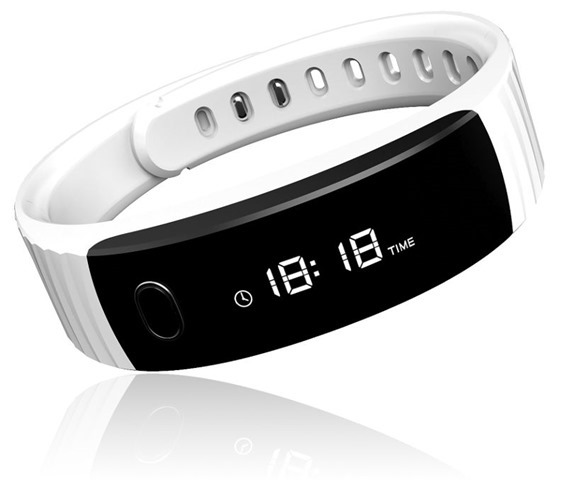 Intex-FitRist