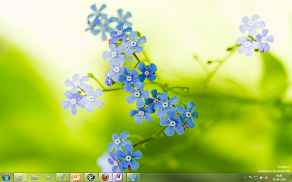 Nature Theme 2
