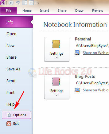 OneNote 2010 Option