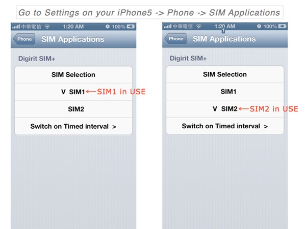 SIM  in use