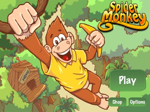 Spider Monkey