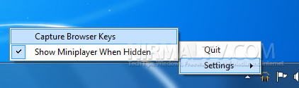 System tray