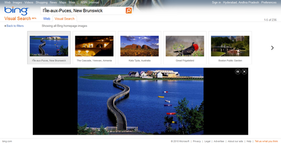 Visual Search Zoom