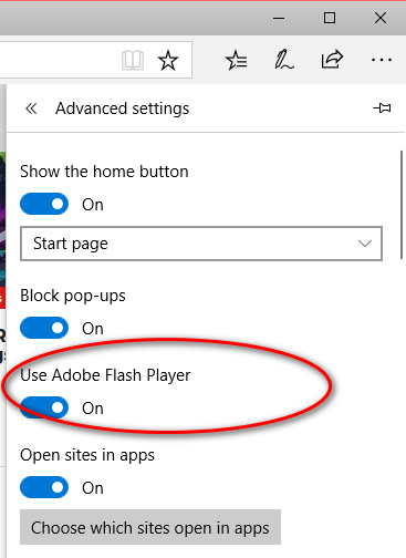 flash player