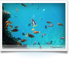 pacchettiGold_img_box4