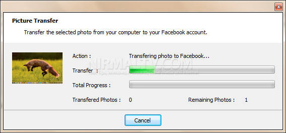 photo uploading