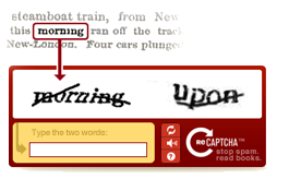 reCAPTCHA