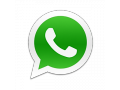 whatsapp logo