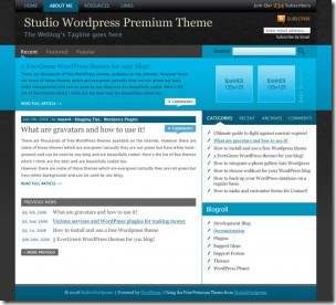 Premium theme
