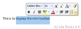 Mini Toolbar